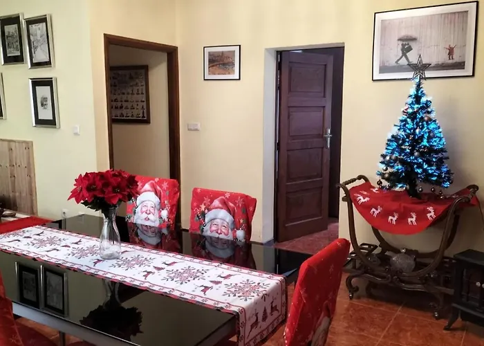 Acogedor Y Luminoso Piso Centrico